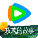 sm 女王直播